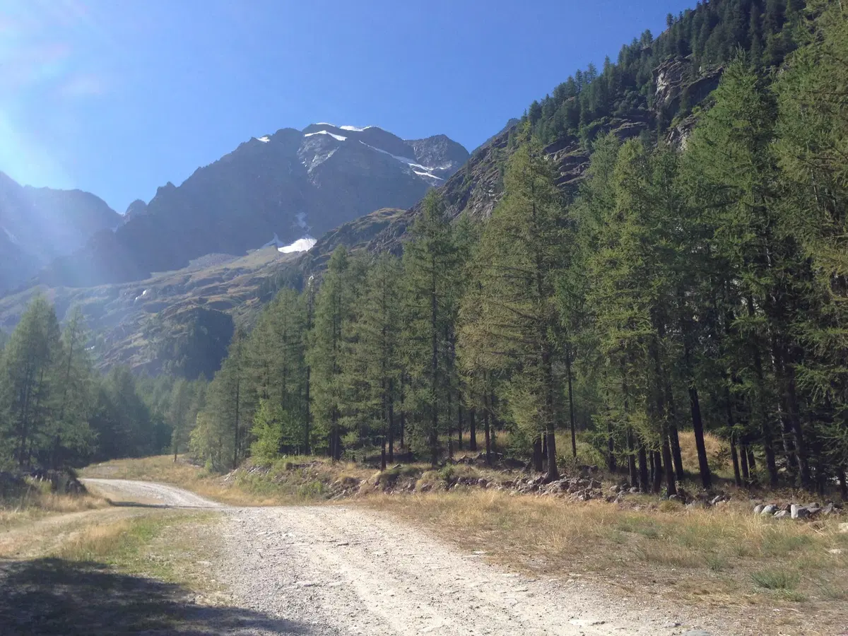 In viaggio con Camilla: Passo del Sempione  (18)