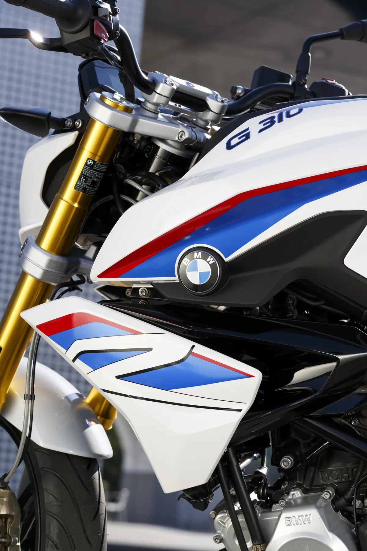 BMW G310 R (4)