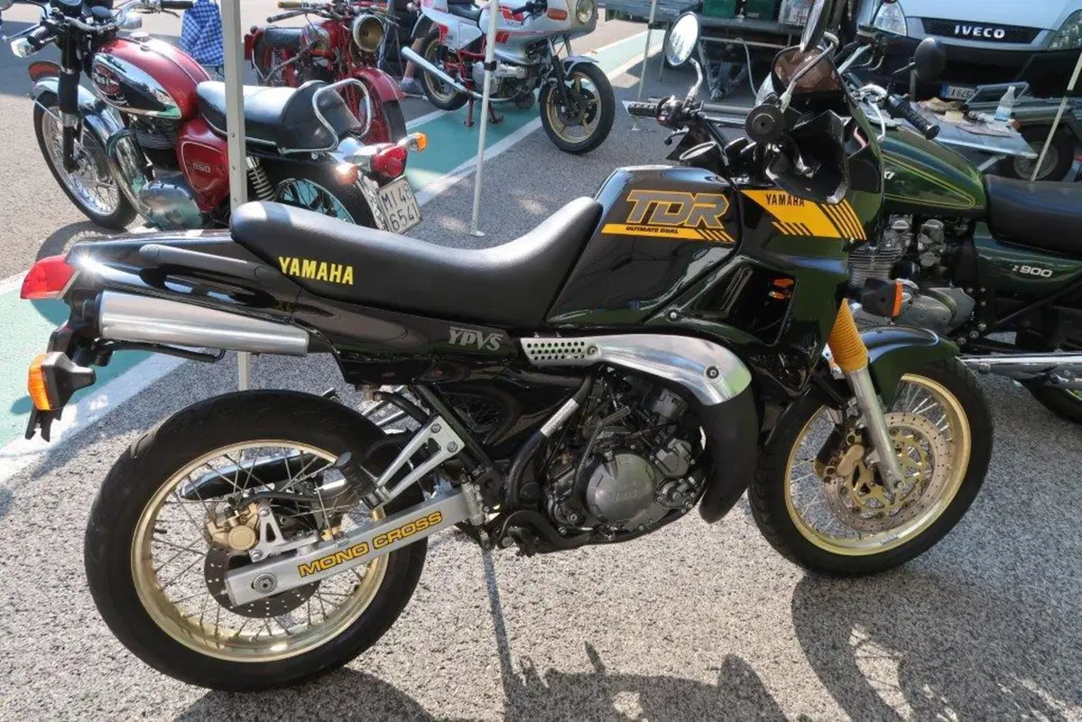 Mostra scambio Imola, cosa c'era da comprare (22)