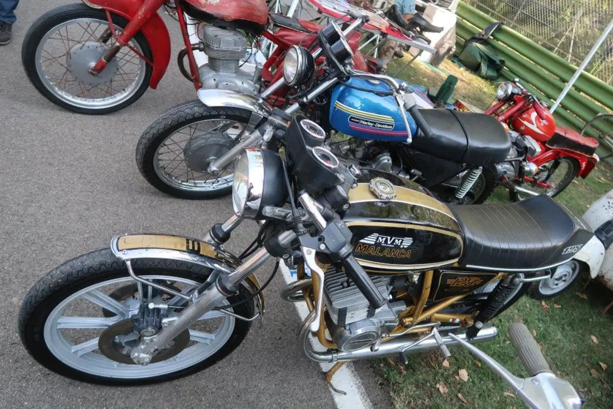 Mostra scambio Imola, cosa c'era da comprare (25)