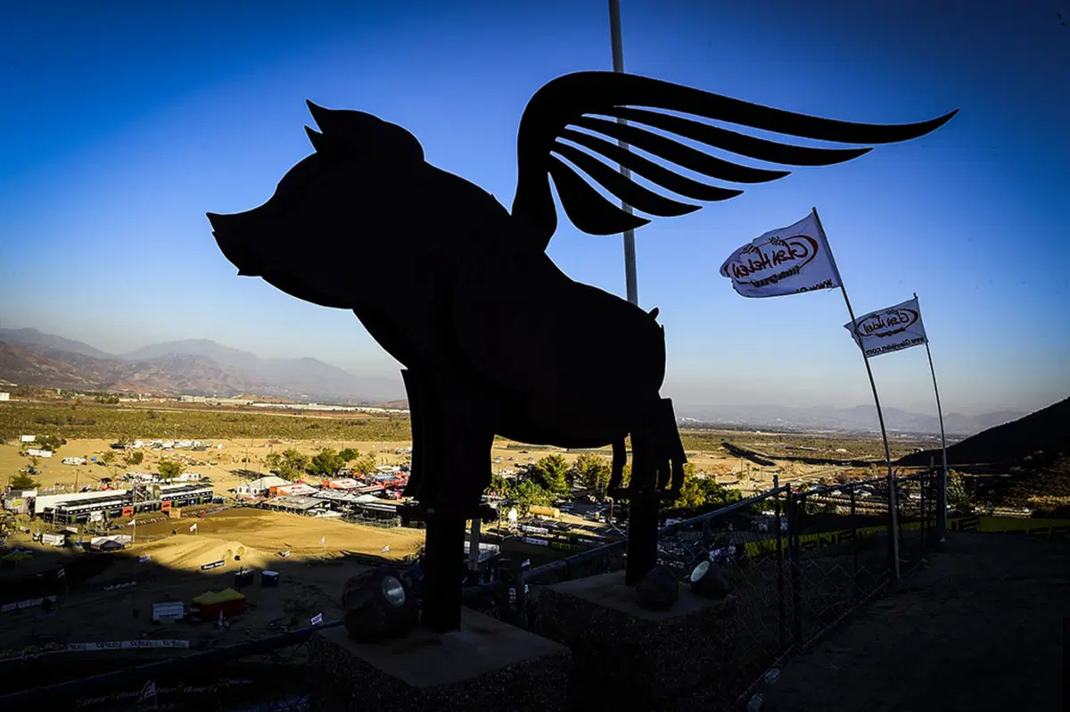 MXGP. Le foto più belle del GP degli Stati Uniti (70)