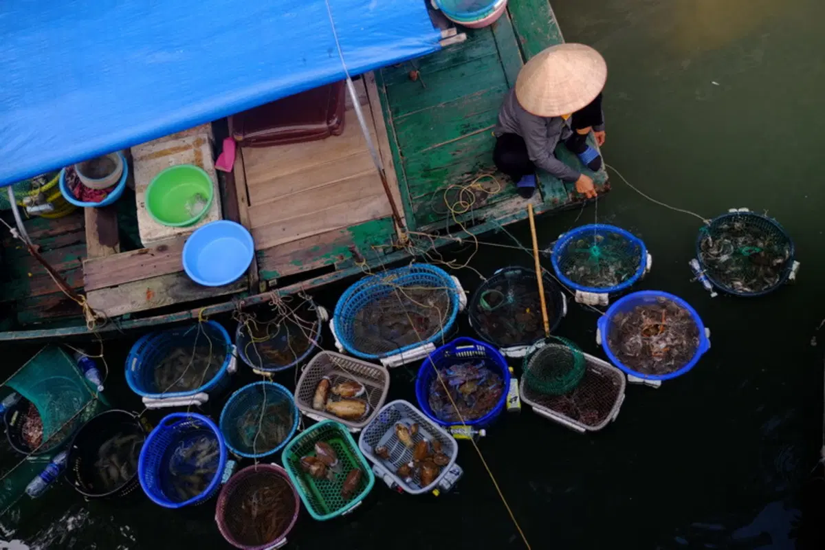 Planet Explorer 7 in Vietnam. Day 2, Ha Long Bay (4)