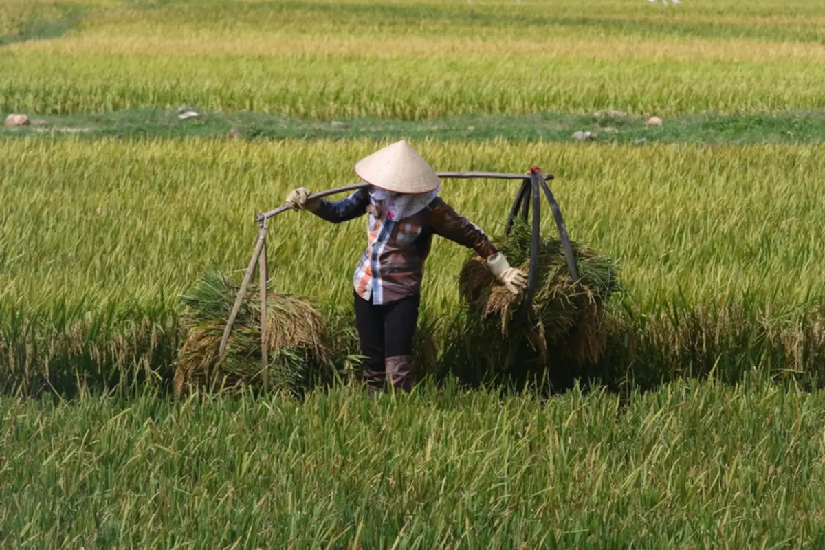 Planet Explorer 7 in Vietnam. Day 2, Ha Long Bay (10)