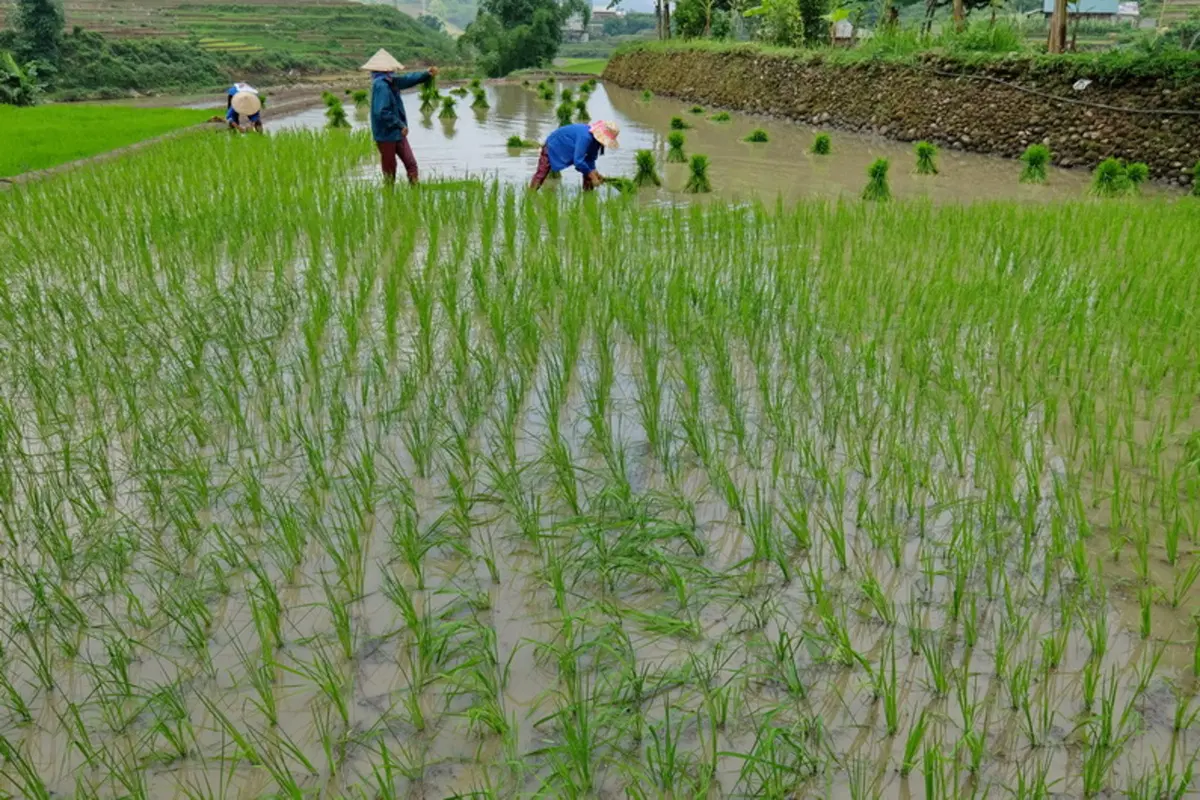 Planet Explorer 7 in Vietnam. Day 3, Sa Pa (11)