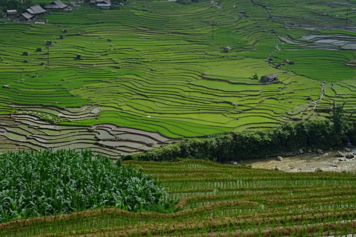 Planet Explorer 7 in Vietnam. Day 3, Sa Pa (13)