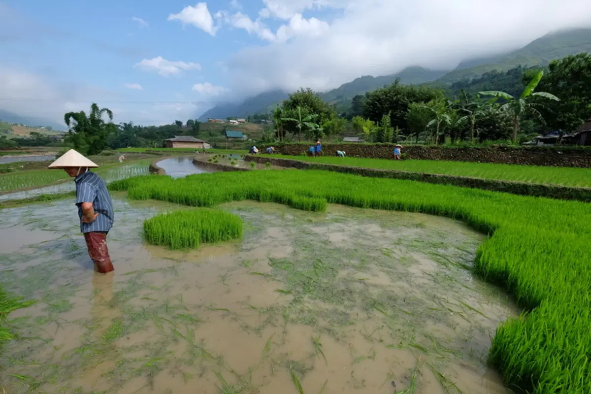 Planet Explorer 7 in Vietnam. Day 3, Sa Pa (17)