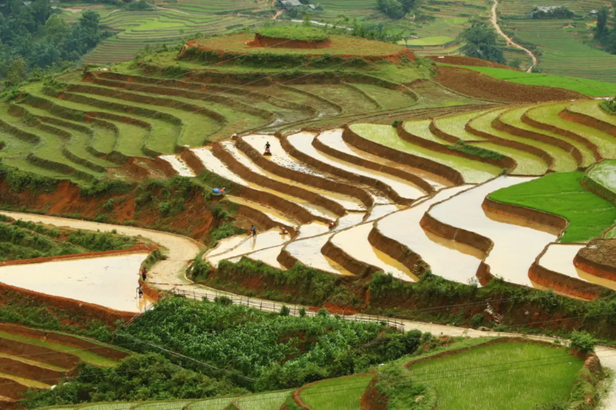 Planet Explorer 7 in Vietnam. Day 3, Sa Pa (23)