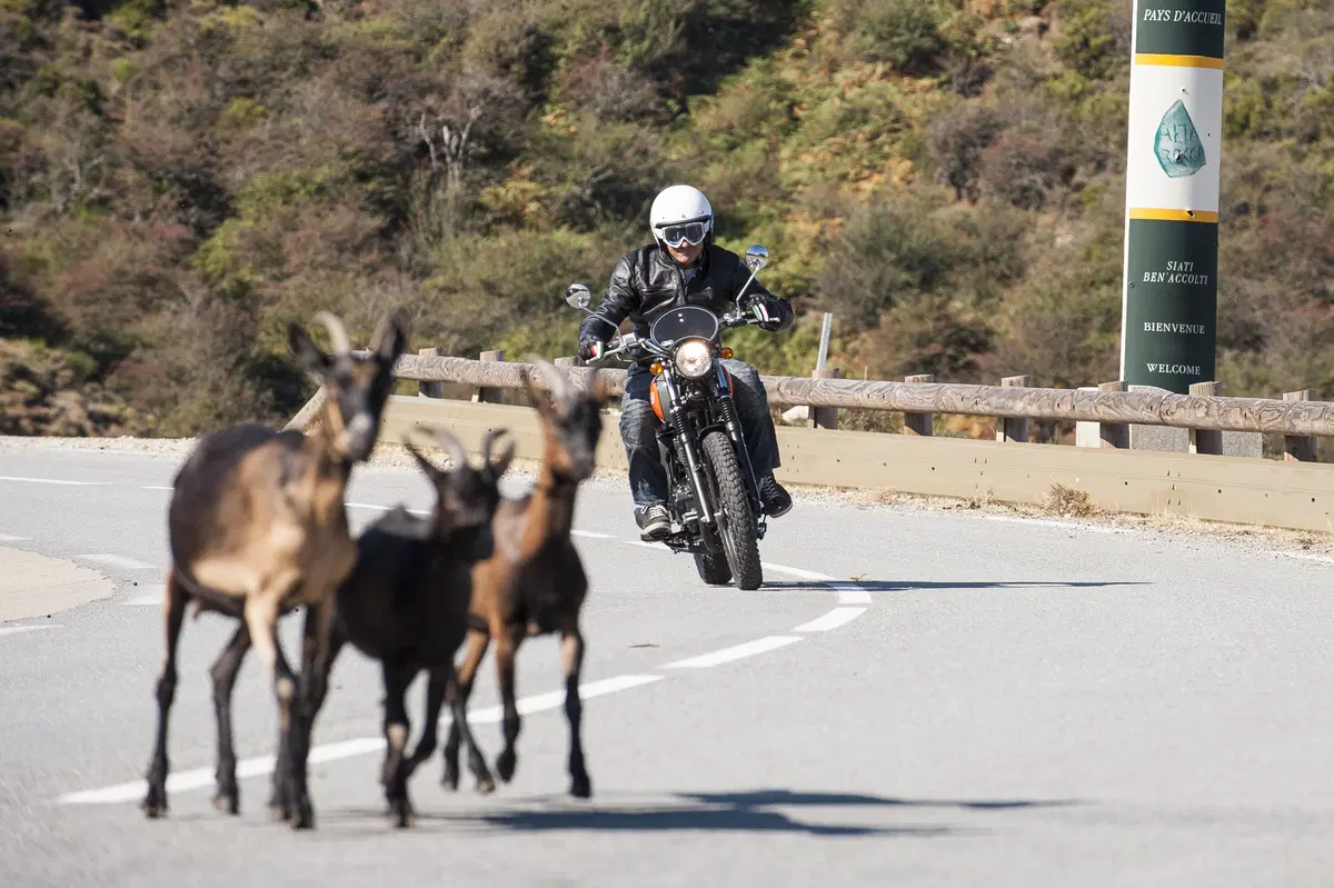 Mash 2017: la prova delle nuove Black Seven 125, Scrambler 250 e TT40 (12)