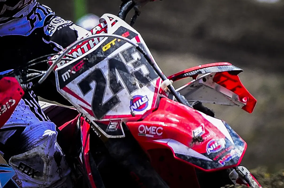 MXGP. Il sogno di Gajser (10)