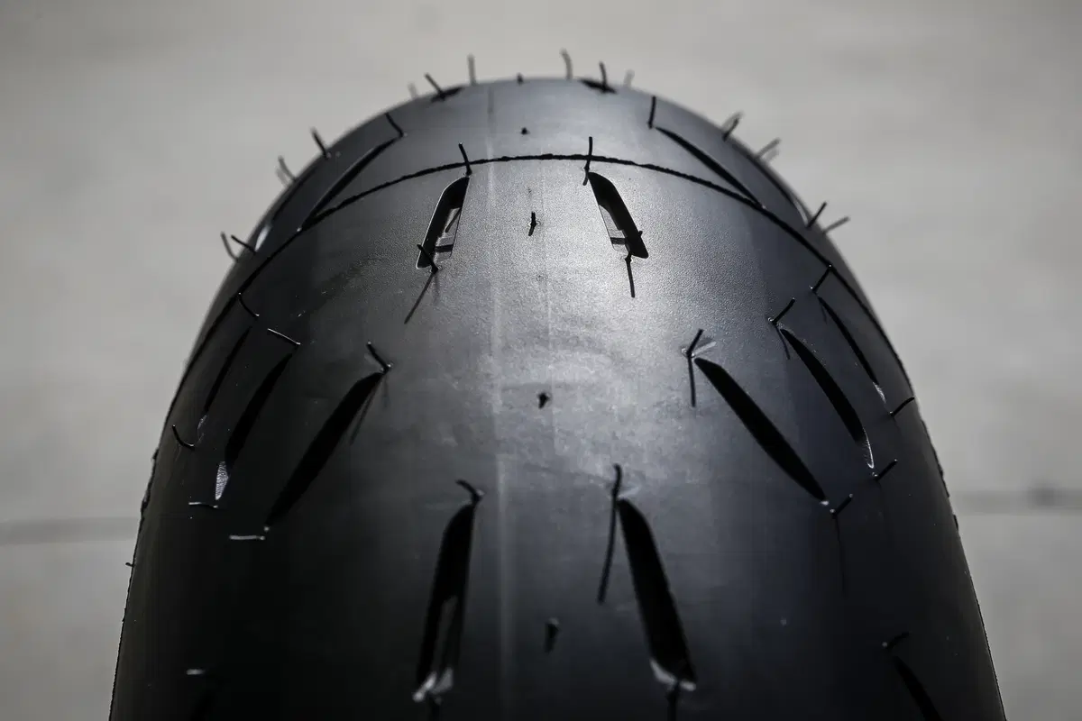 Michelin: gamma sport 2015 (6)