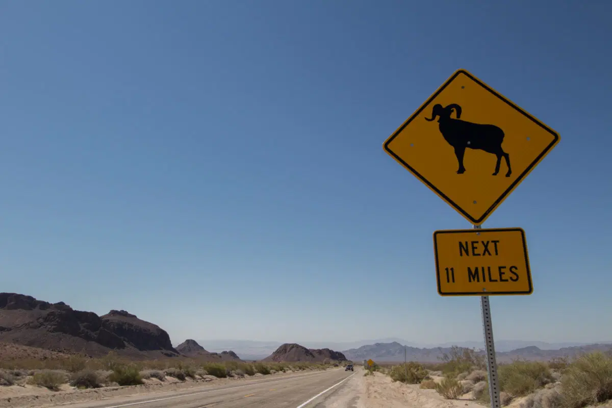 Ride in USA. Quando il Coast to Coast è necessità burocratica (10)