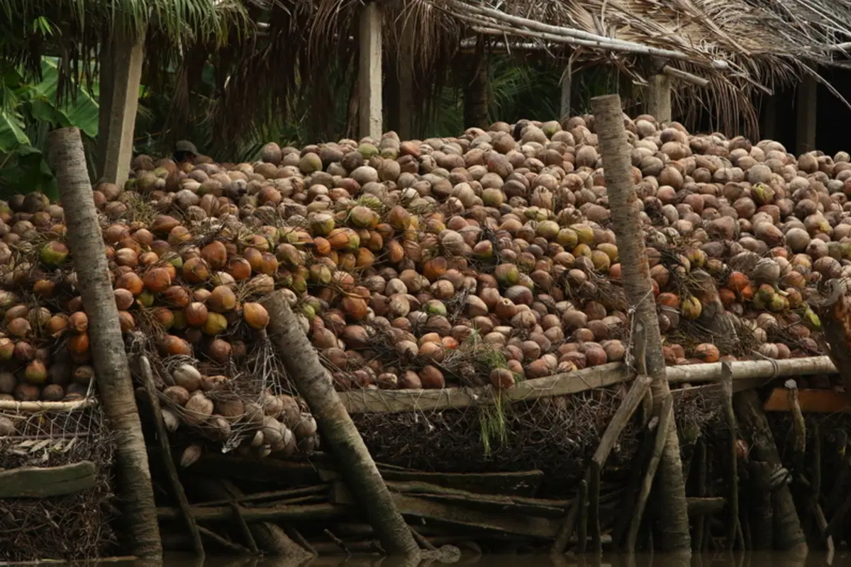Planet Explorer 7 in Vietnam. Day 6, Ben Tre (13)