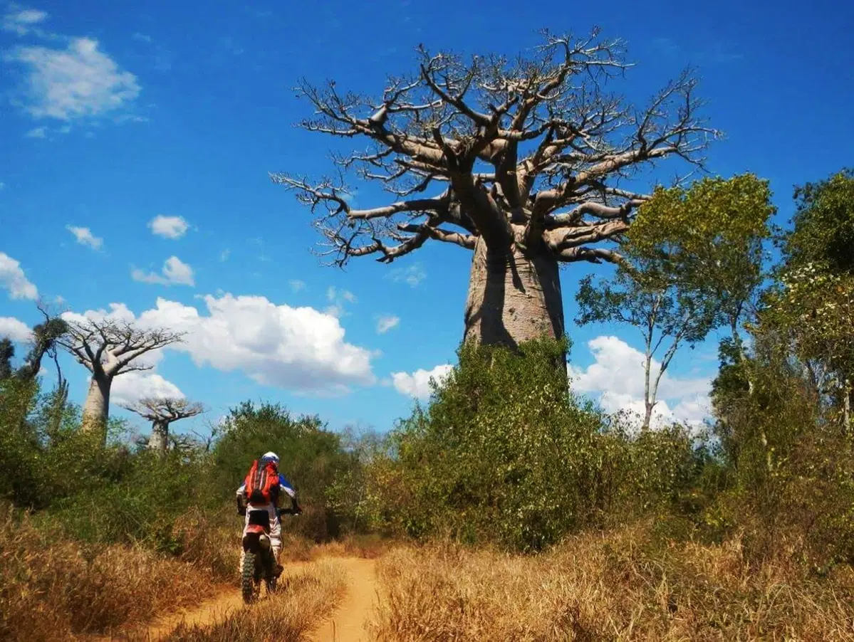 Manubri in fuga: Andrea Cardarelli e il Madagascar
