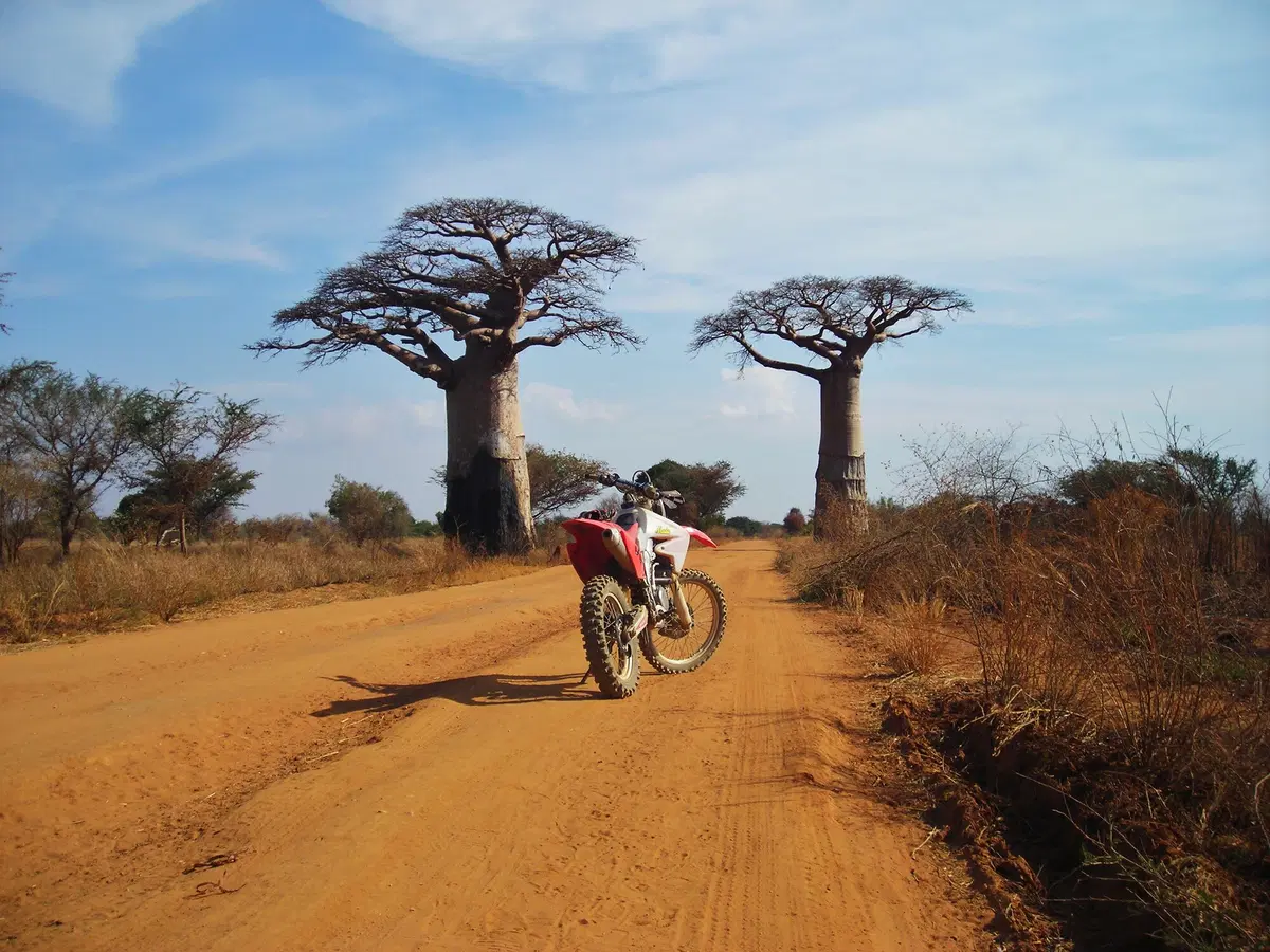 Manubri in fuga: Andrea Cardarelli e il Madagascar (2)