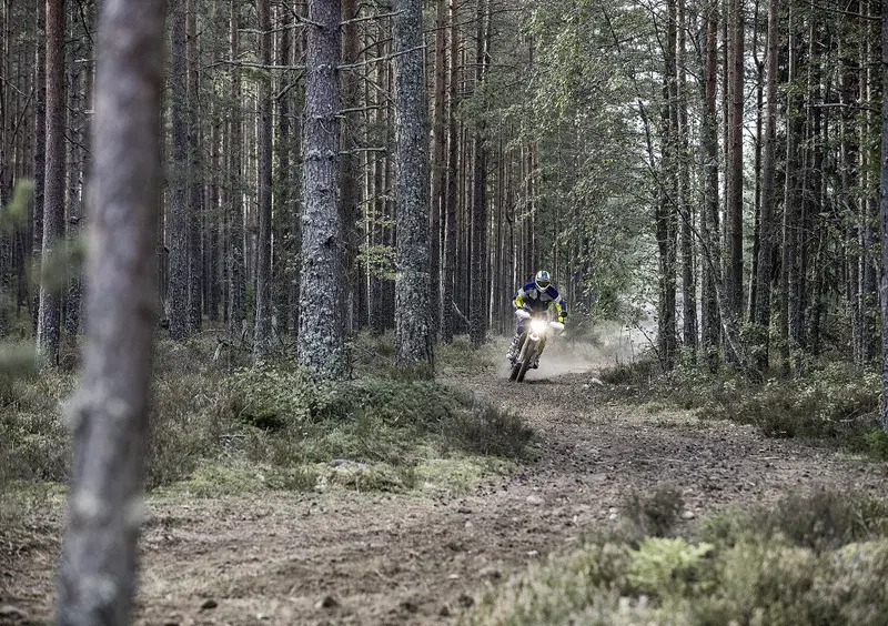 Husqvarna 701 Enduro 701 Enduro (2017 - 19) (10)