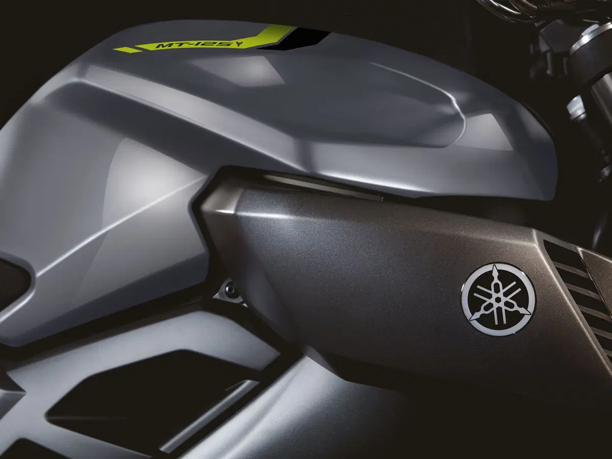 Yamaha MT-125 MT-125 ABS (2017 - 19) (13)