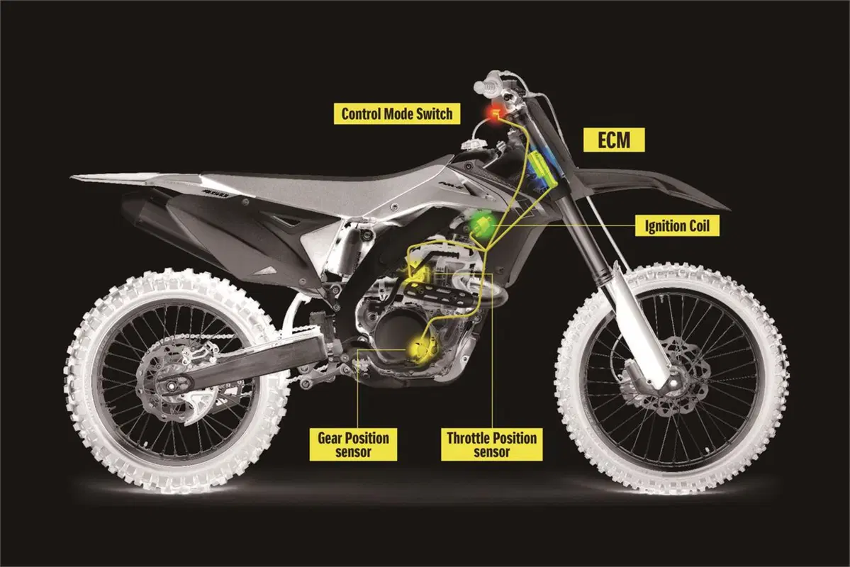 Suzuki RM-Z 250 2016 (12)