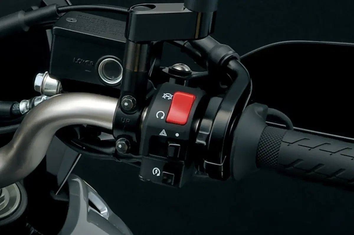 Suzuki V-Strom 1000 V-Strom 1000 (2017 - 20) (11)
