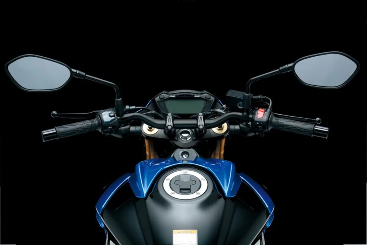 Suzuki GSX S 750 GSX S 750 ABS (2017 - 20) (18)