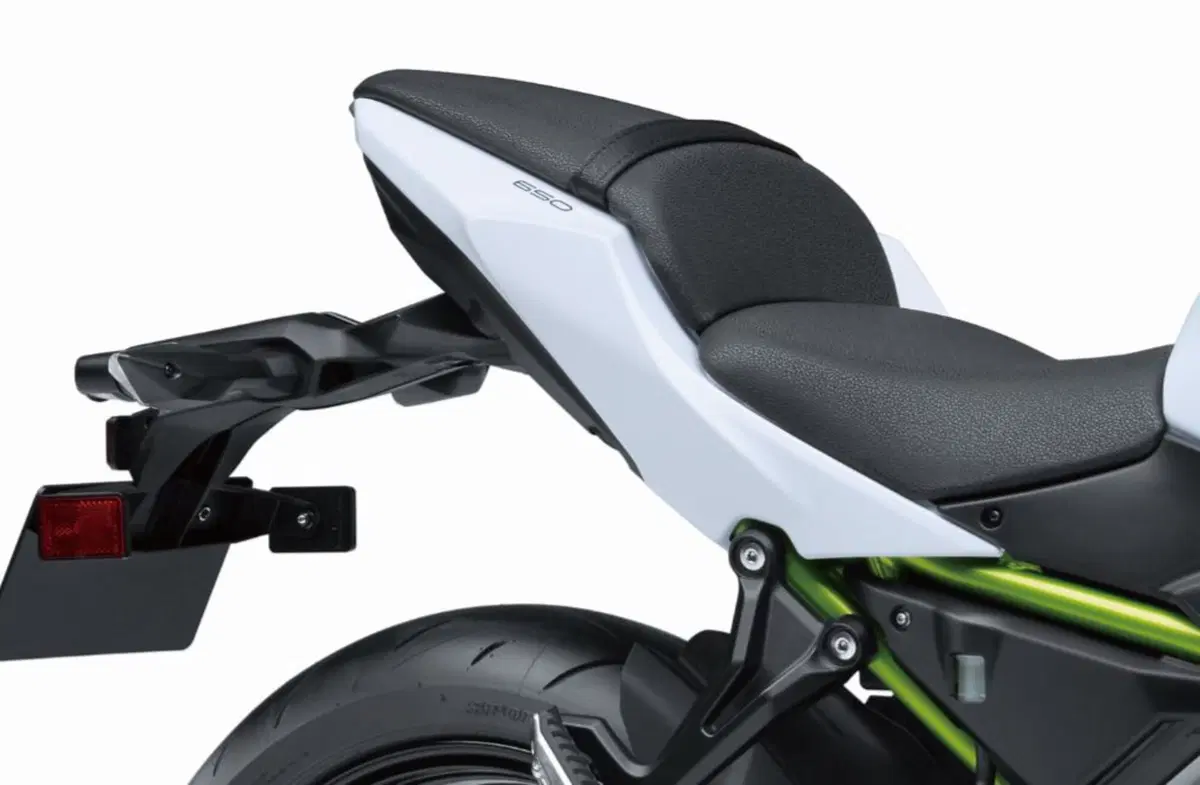 Nuova Kawasaki Z650 a Eicma 2016 (9)