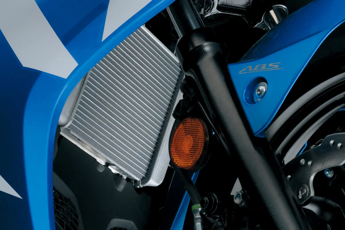 Suzuki GSX-R 125 2017 (20)