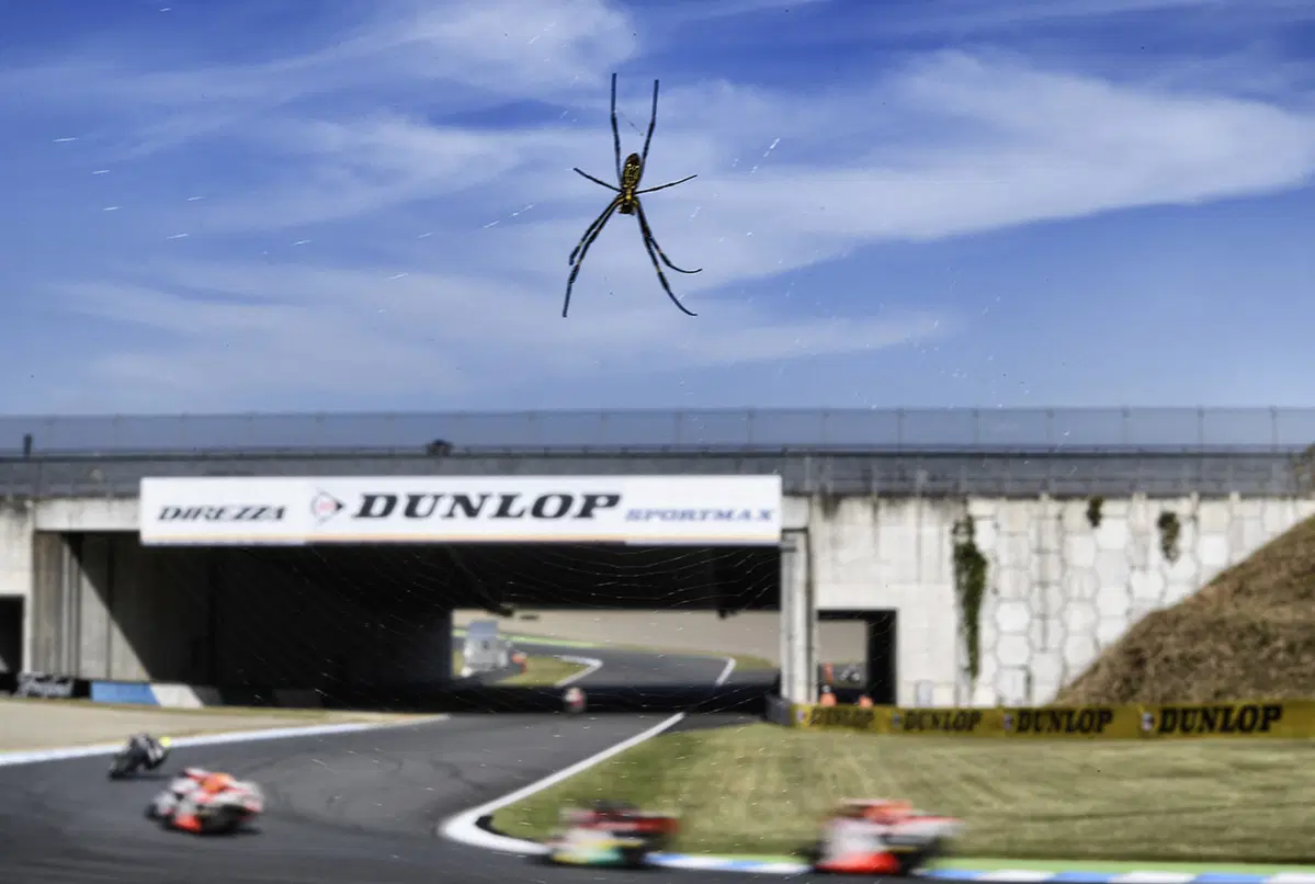 MotoGP. Le foto più spettacolari del GP del Giappone (28)