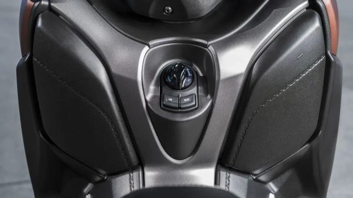 Yamaha X-Max 300 X-Max 300 ABS (2017 - 20) (7)