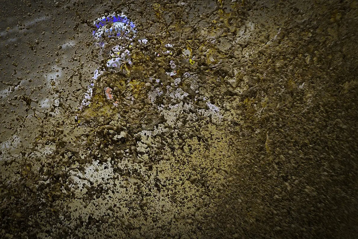 MXGP 2015. Le foto pi&ugrave; belle del GP d'Italia