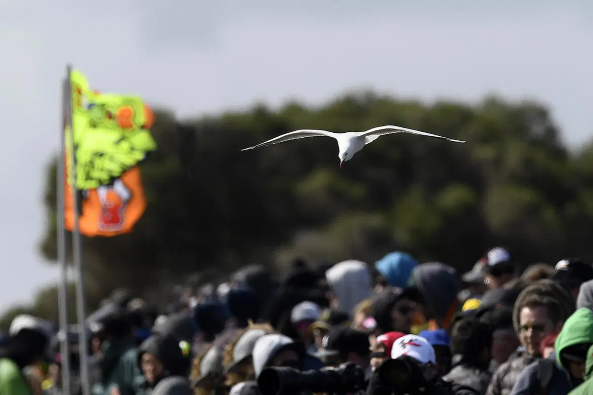 Le foto più spettacolari del GP d'Australia 2016 (13)