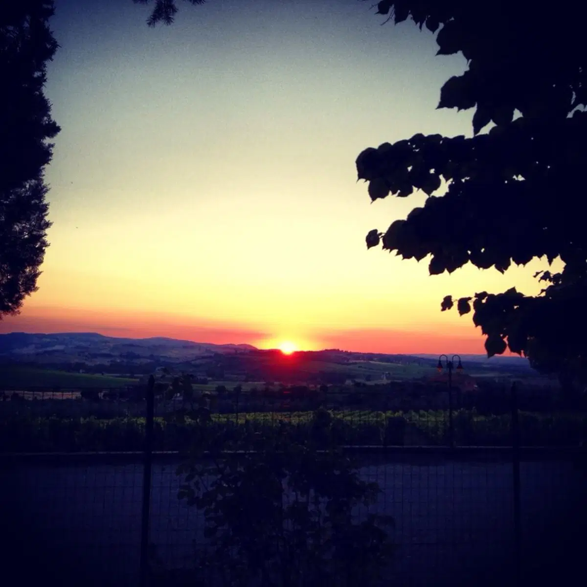 In viaggio con Camilla: Montepulciano, Castiglione del Lago, Assisi (6)