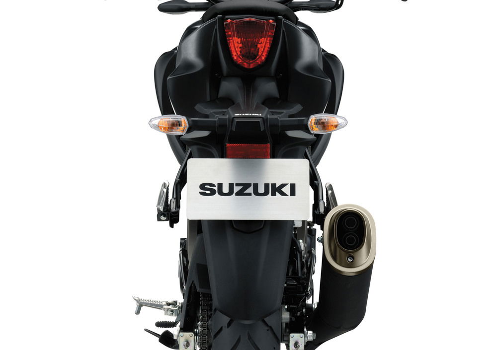 Suzuki GSX-S125 (2017 - 20) (3)