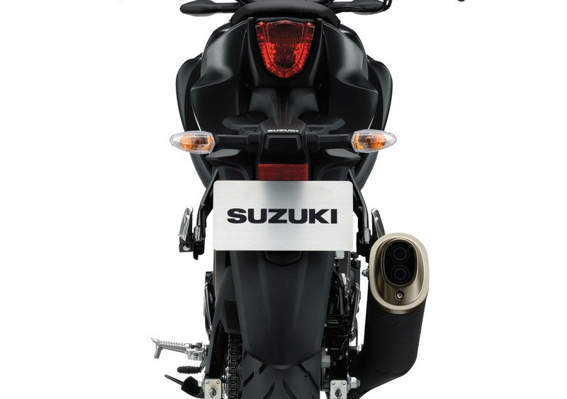 Suzuki GSX-S125 GSX-S125 (2017 - 20) (3)
