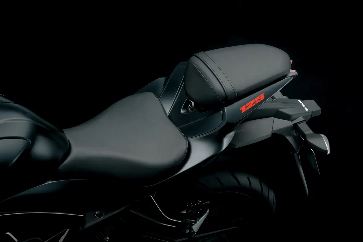 Suzuki GSX-S125 GSX-S125 (2017 - 20) (6)