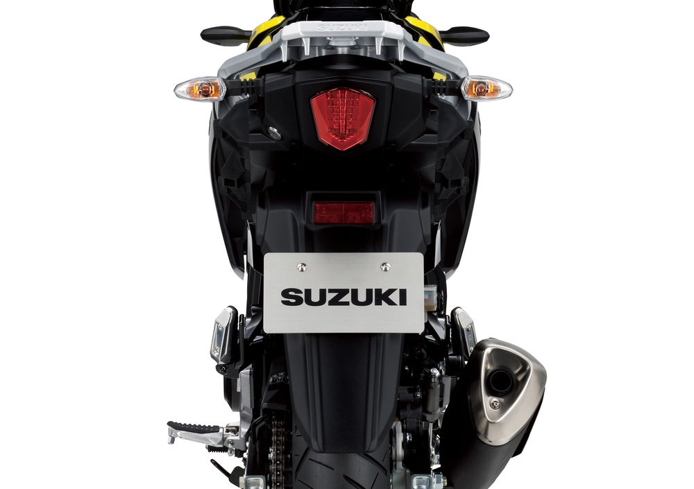 Suzuki V-Strom 250 (2017 - 20) (4)