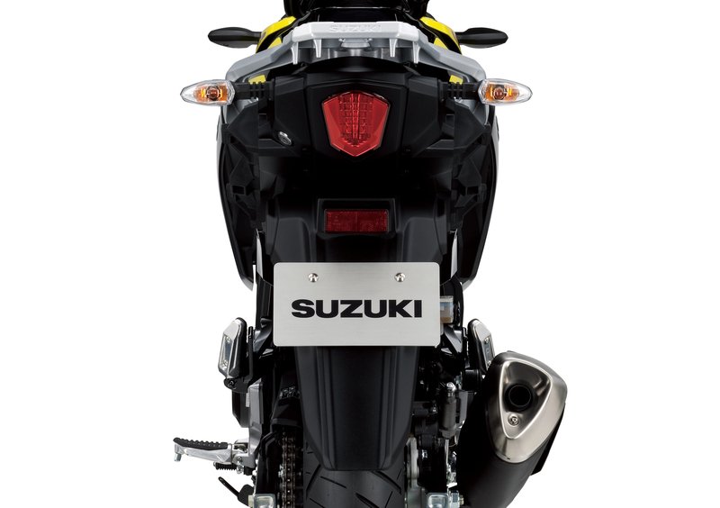 Suzuki V-Strom 250 V-Strom 250 (2017 - 20) (4)