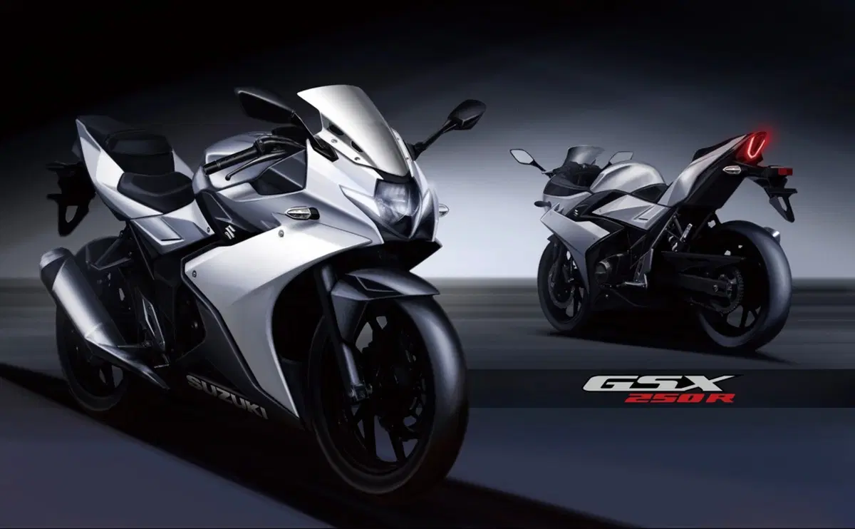 Suzuki GSX250R 2017 ad Eicma 2016: foto e dati (24)