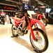 Honda CRF 250L 2017 a EICMA 2016: foto e dati