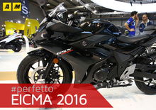 Suzuki GSX250R 2017 ad EICMA 2016: video