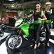 Kawasaki Versys-X 300 ad EICMA 2016: foto e dati