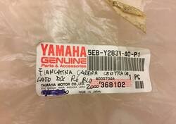 Carena Yamaha R6 99/00