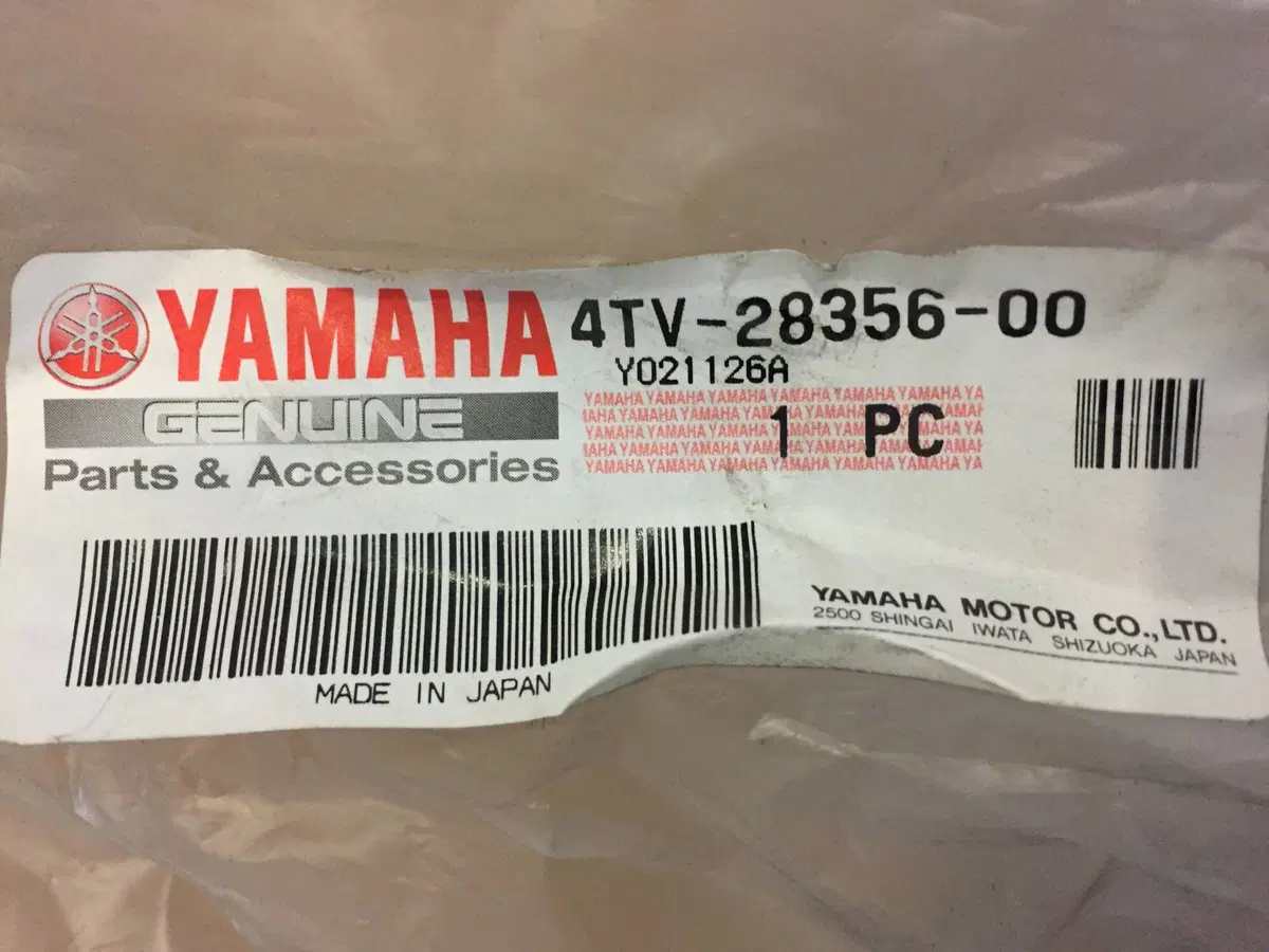Telaeitto Cupolino Per Yamaha Thundercat (3)