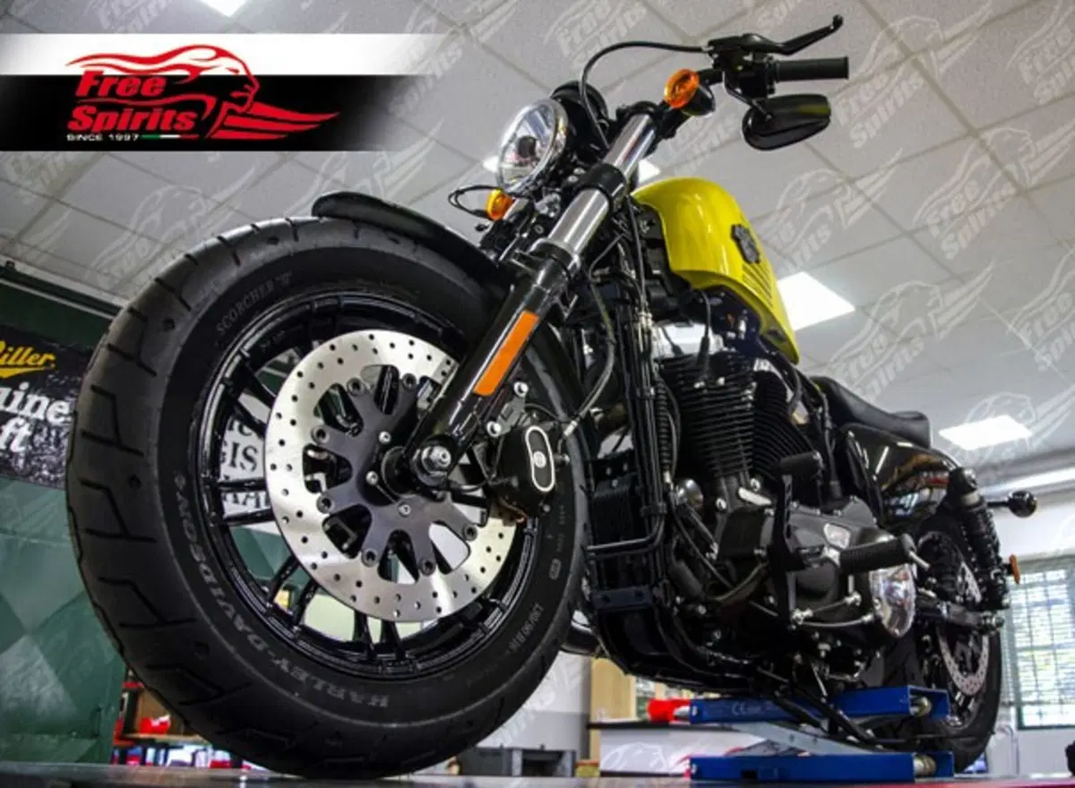 Free Spirits: kit disco freno 320 per H-D Sportster (2)