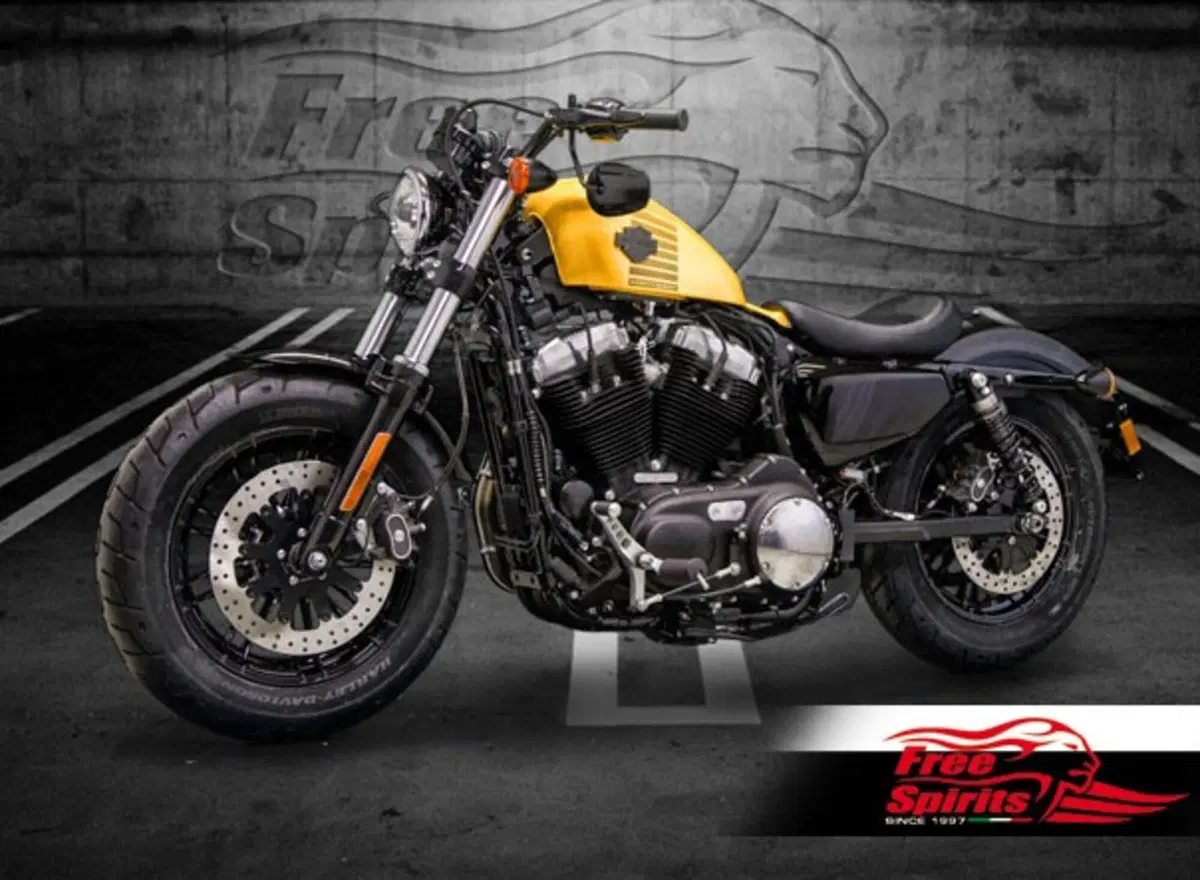 Free Spirits: kit disco freno 320 per H-D Sportster (4)