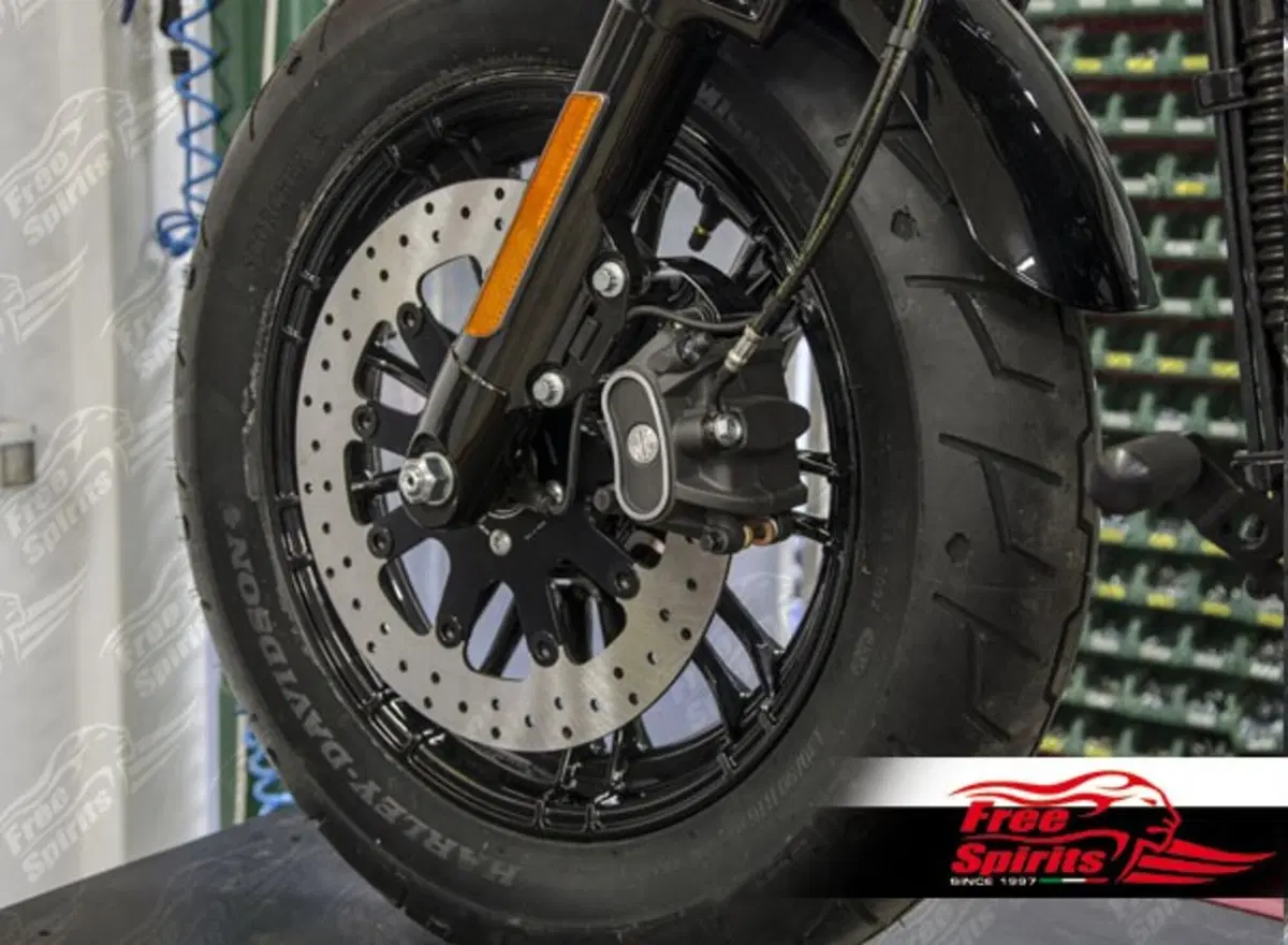 Free Spirits: kit disco freno 320 per H-D Sportster (5)