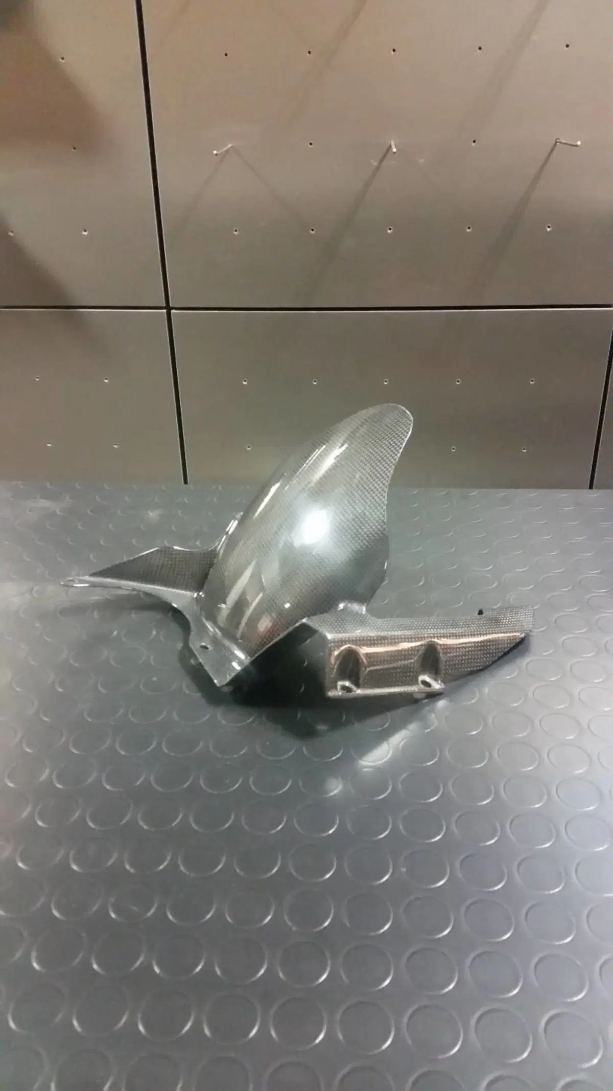 Parafango posteriore carbonio Ducati