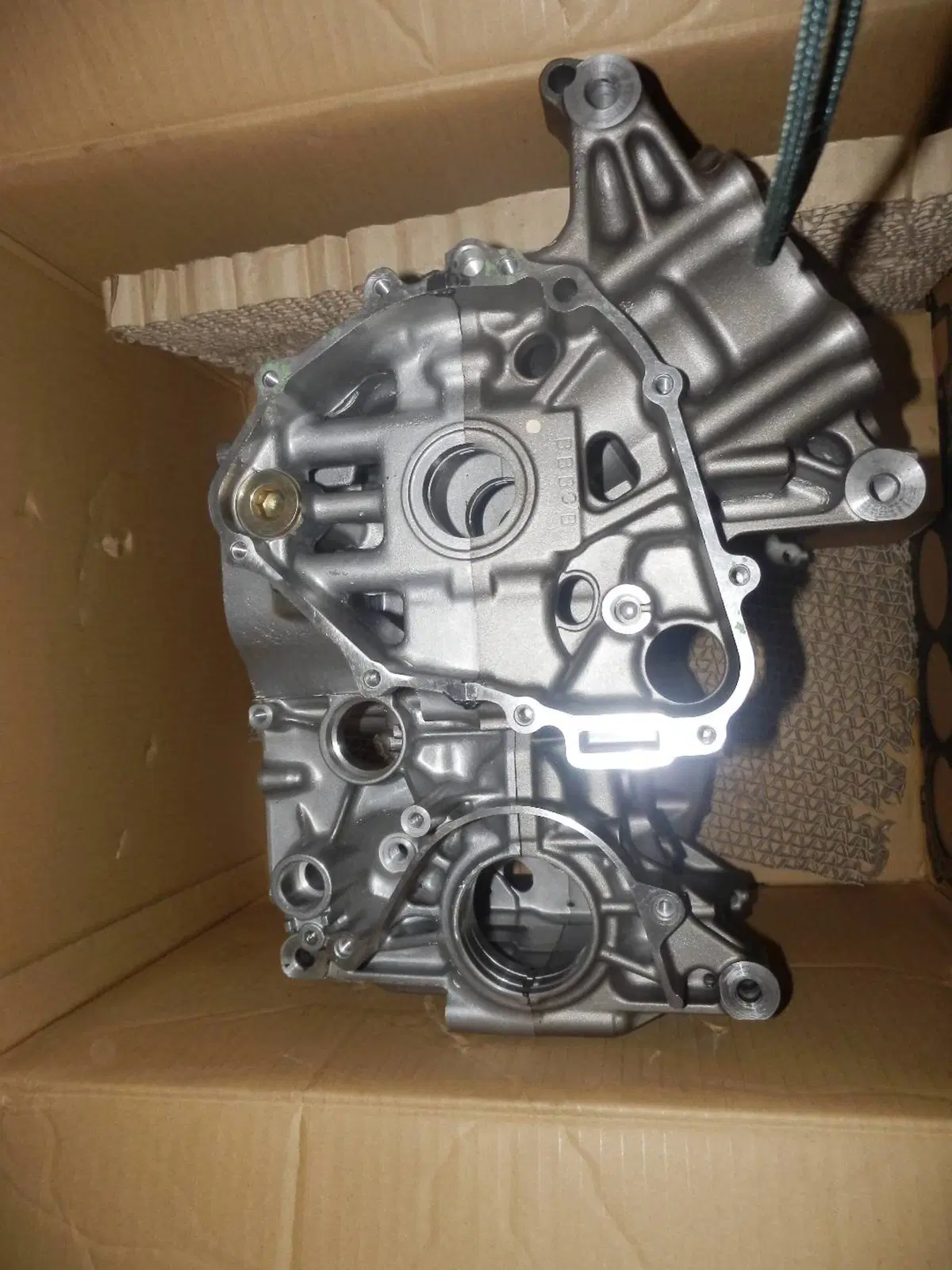Carter Motore Honda Hornet 600 2000-2001 VV