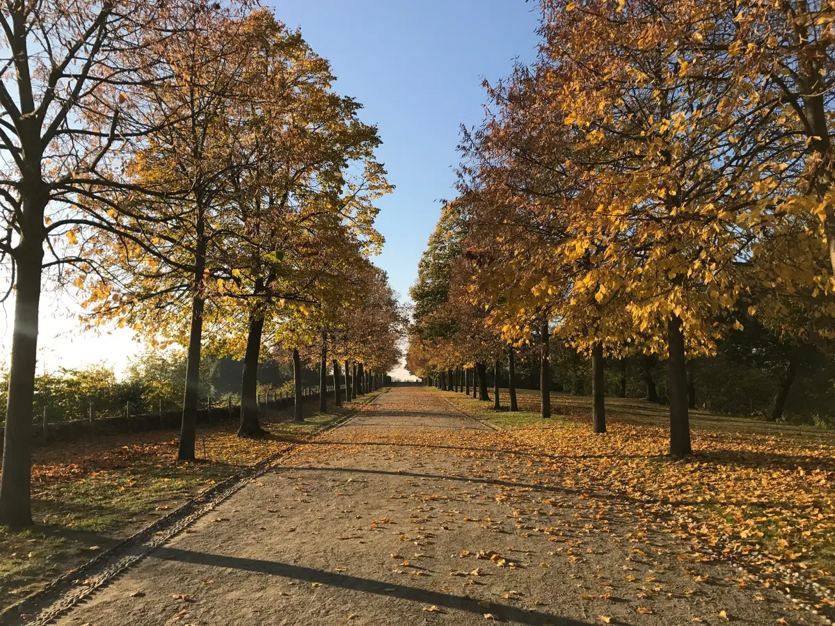 In viaggio con Camilla: il Piemonte meno noto (12)
