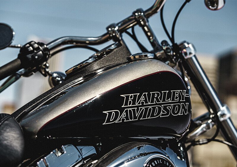 Harley-Davidson Dyna 1690 Low Rider (2014 - 17) - FXDL (14)