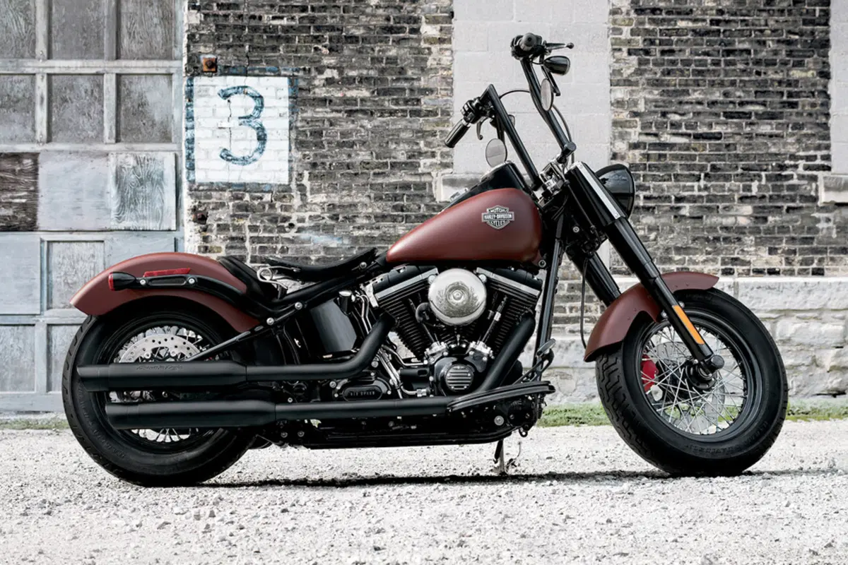 Harley-Davidson Softail 1690 Slim (2017) - FLS (2)