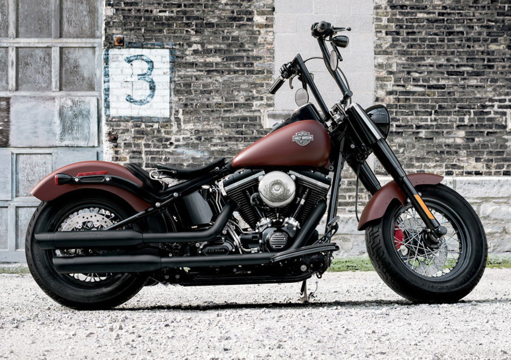 Harley-Davidson 1690 Slim (2017) - FLS (2)